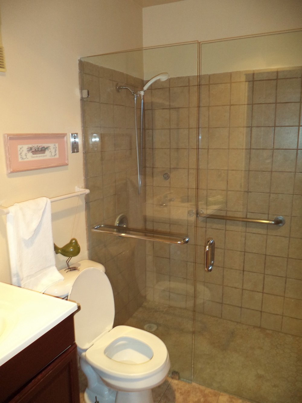 Walk-in-shower2